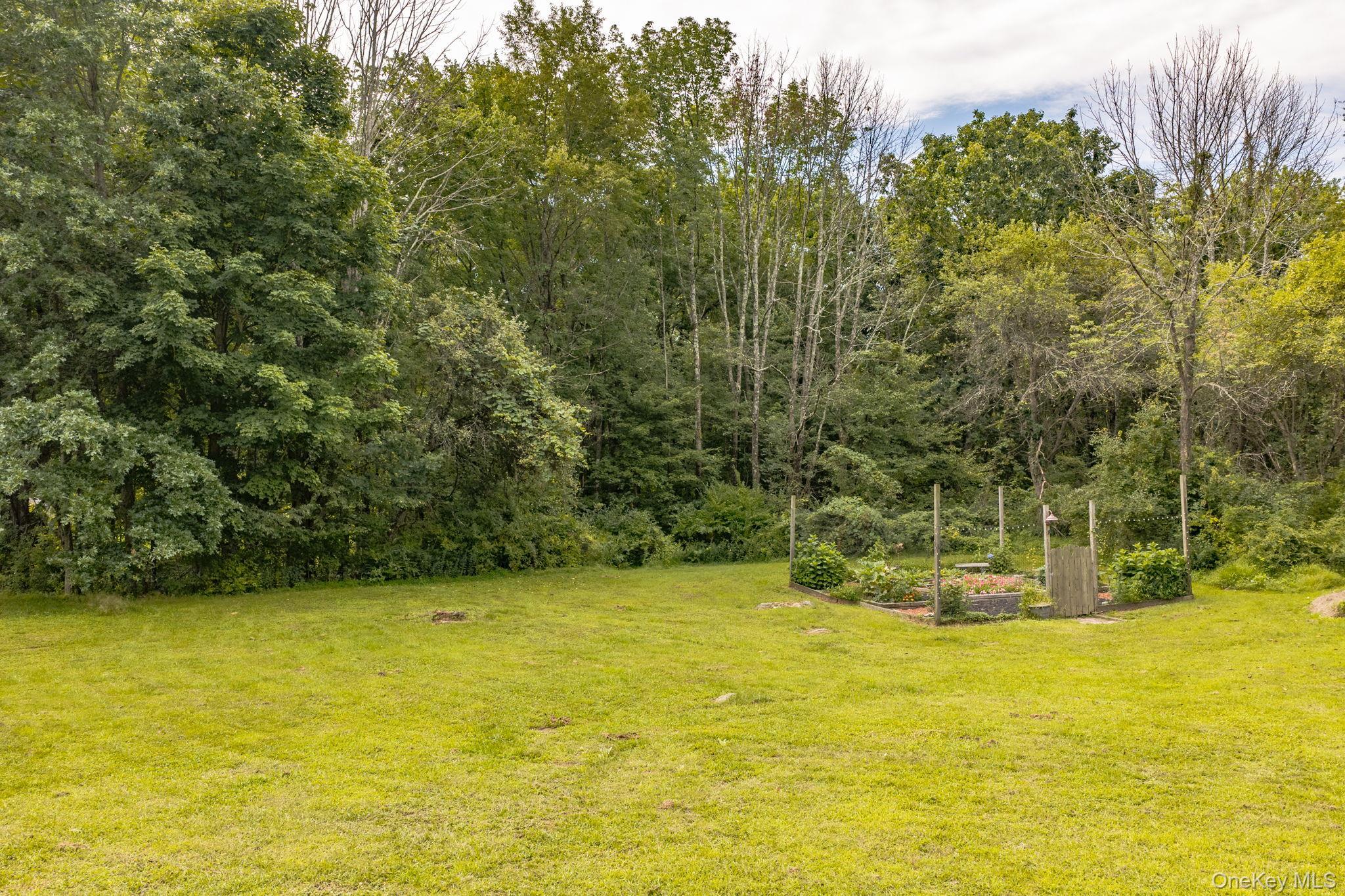 Single Family Woods Road Orange County, NY 12771, MLS-1041097-44