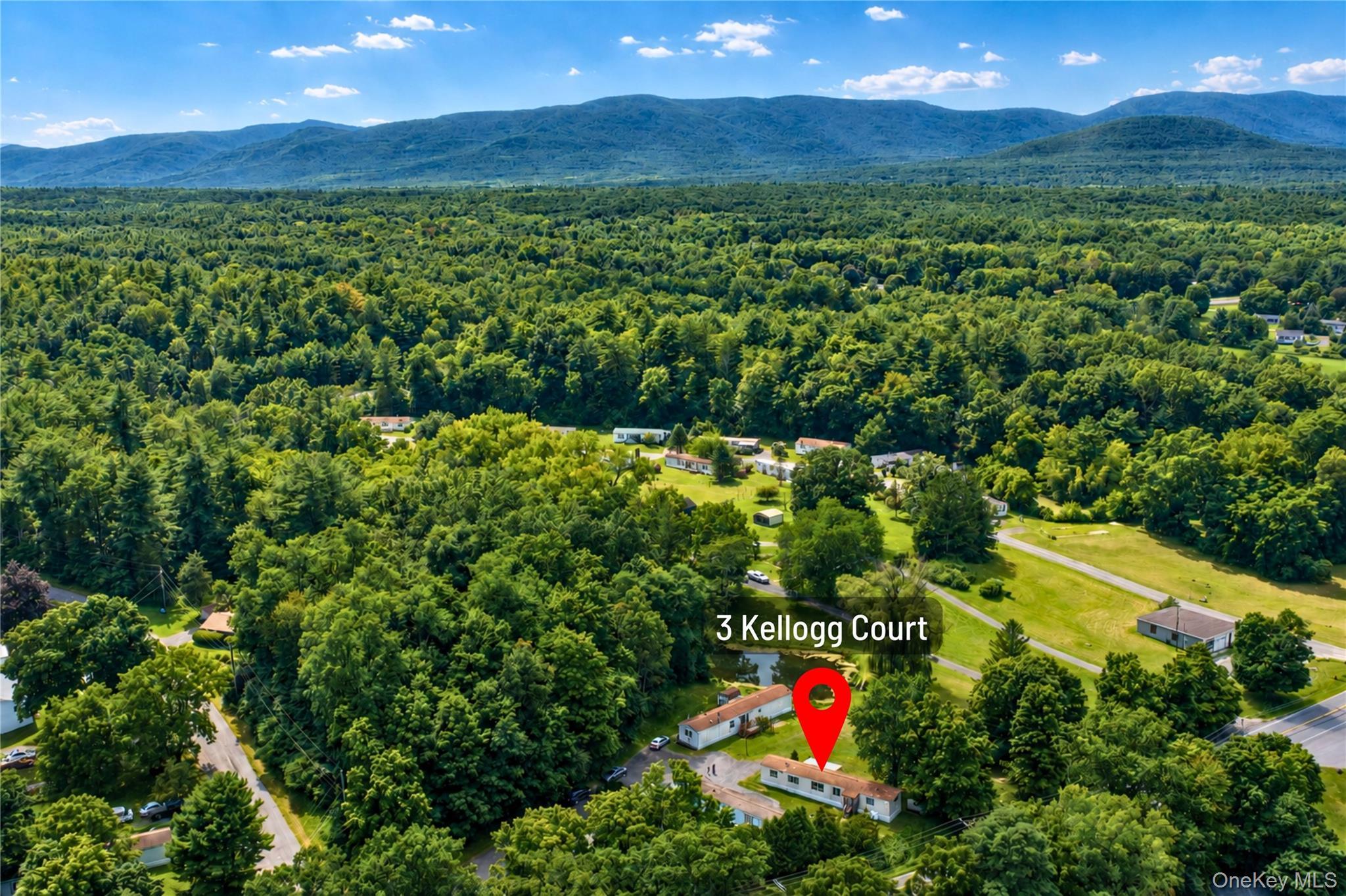 Single Family Kelloggs Court  Greene County, NY 12451, MLS-1041105-16