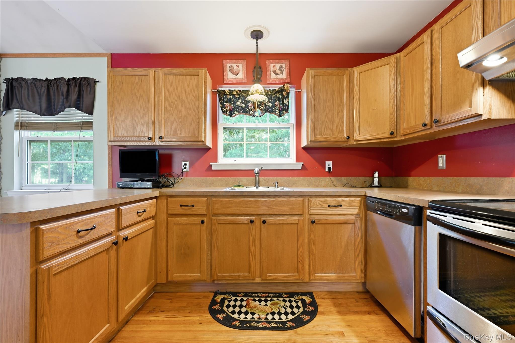Single Family Mulligan Drive Suffolk County, NY 11763, MLS-1041121-10