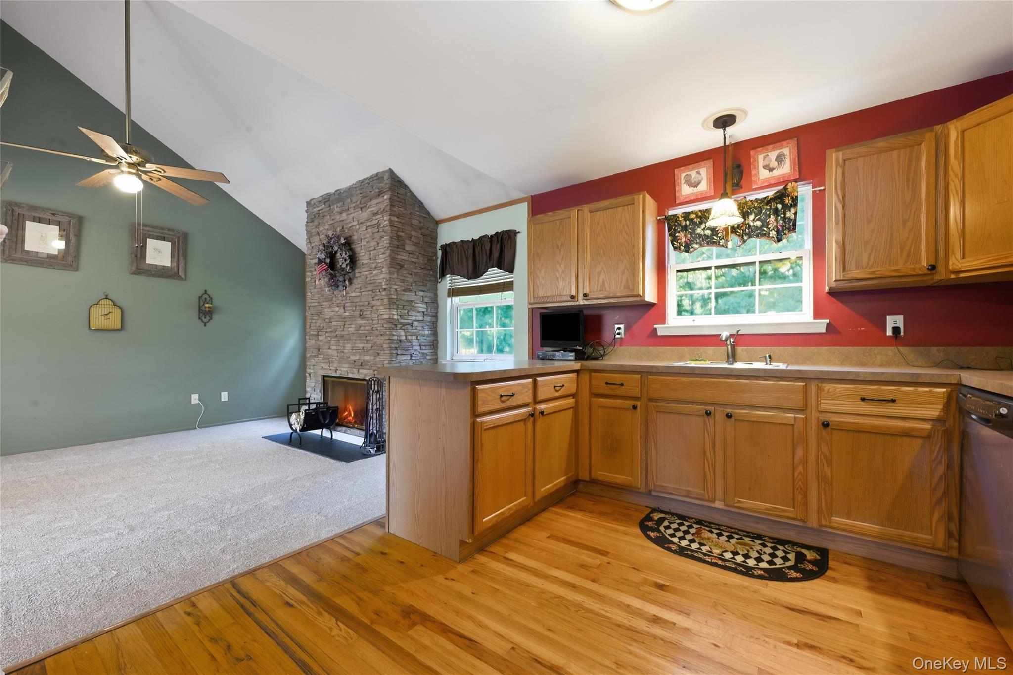 Single Family Mulligan Drive Suffolk County, NY 11763, MLS-1041121-11