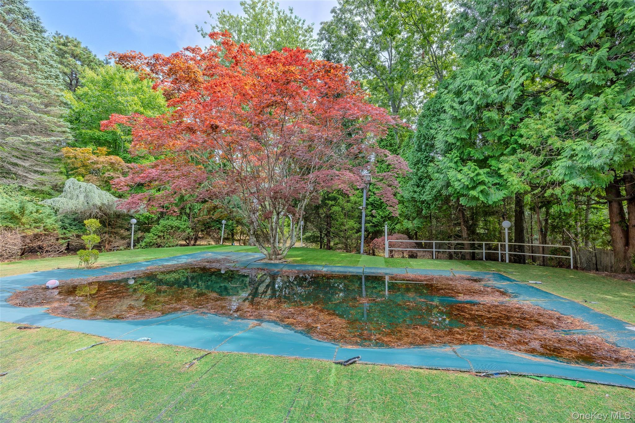 Single Family The Registry  Suffolk County, NY 11942, MLS-1041126-33