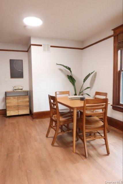 Single Family N Hamilton Street Dutchess County, NY 12601, MLS-1041152-10