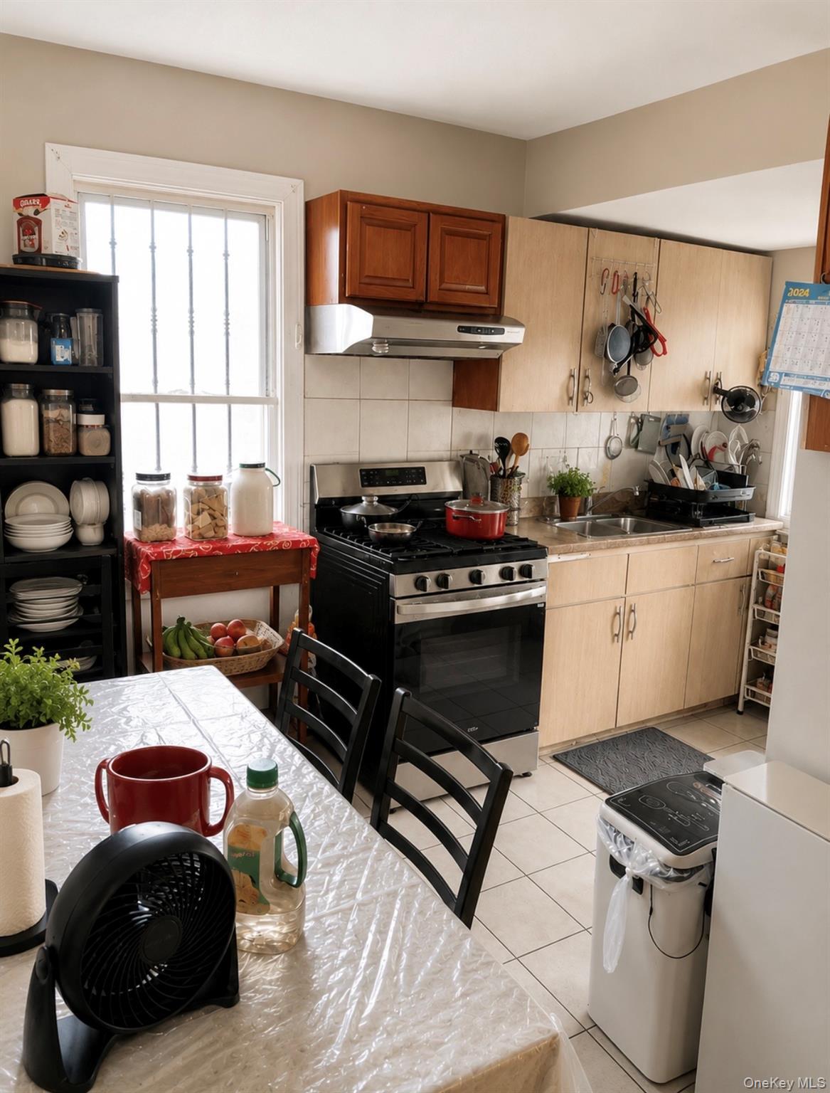 Single Family Woodhull Avenue Queens, NY 11423, MLS-1041157-12