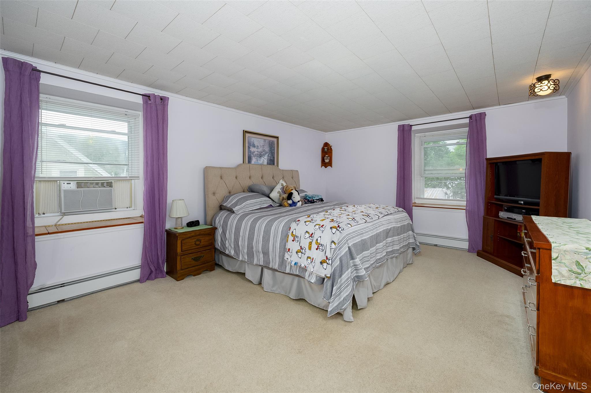 Single Family Maple Street  Dutchess County, NY 12508, MLS-1041215-17
