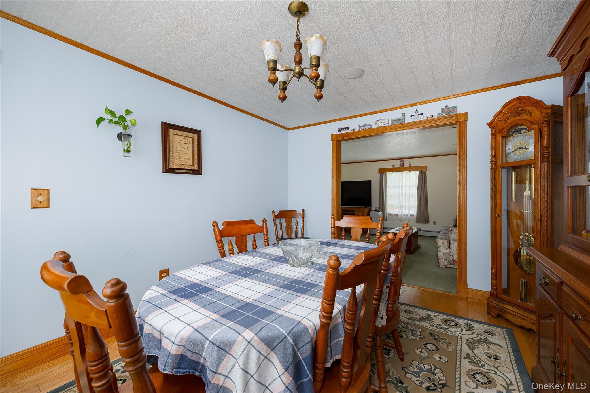 Single Family Maple Street  Dutchess County, NY 12508, MLS-1041215-7