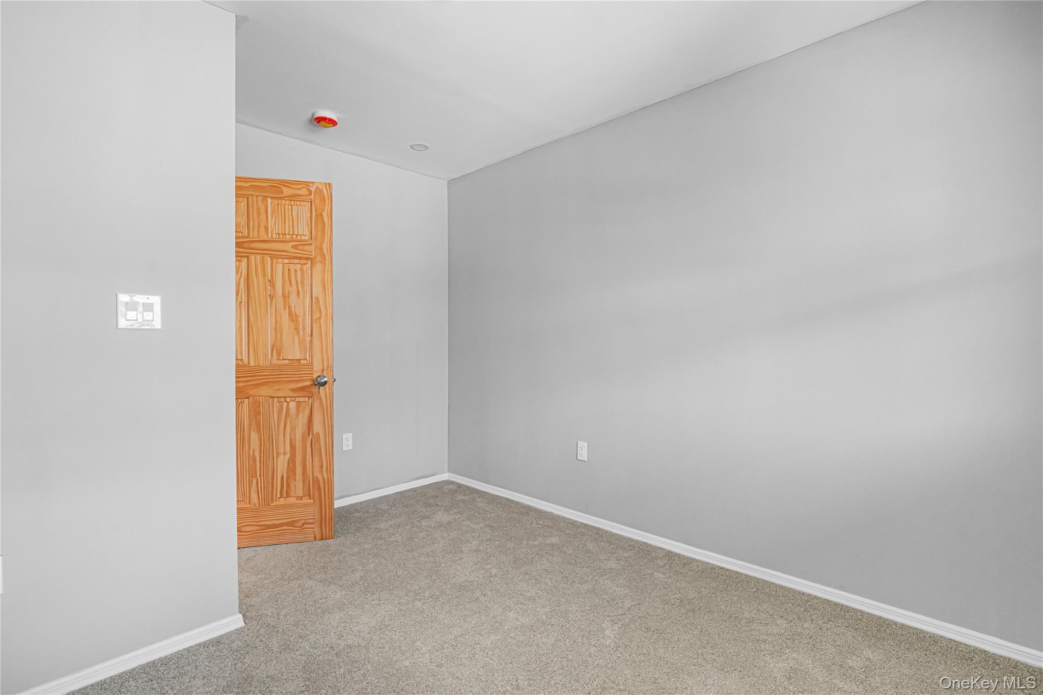 Single Family E 88th Street Brooklyn, NY 11236, MLS-1041220-16