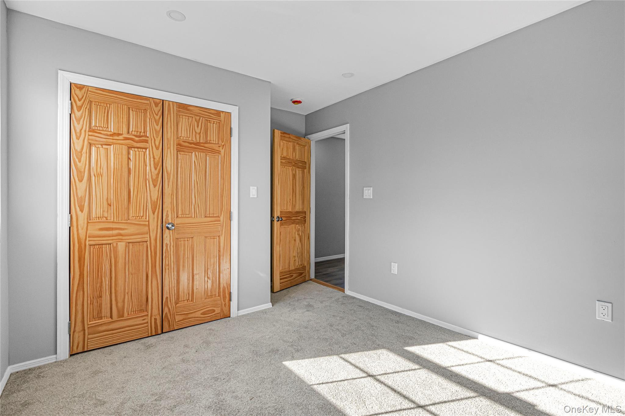 Single Family E 88th Street Brooklyn, NY 11236, MLS-1041220-18