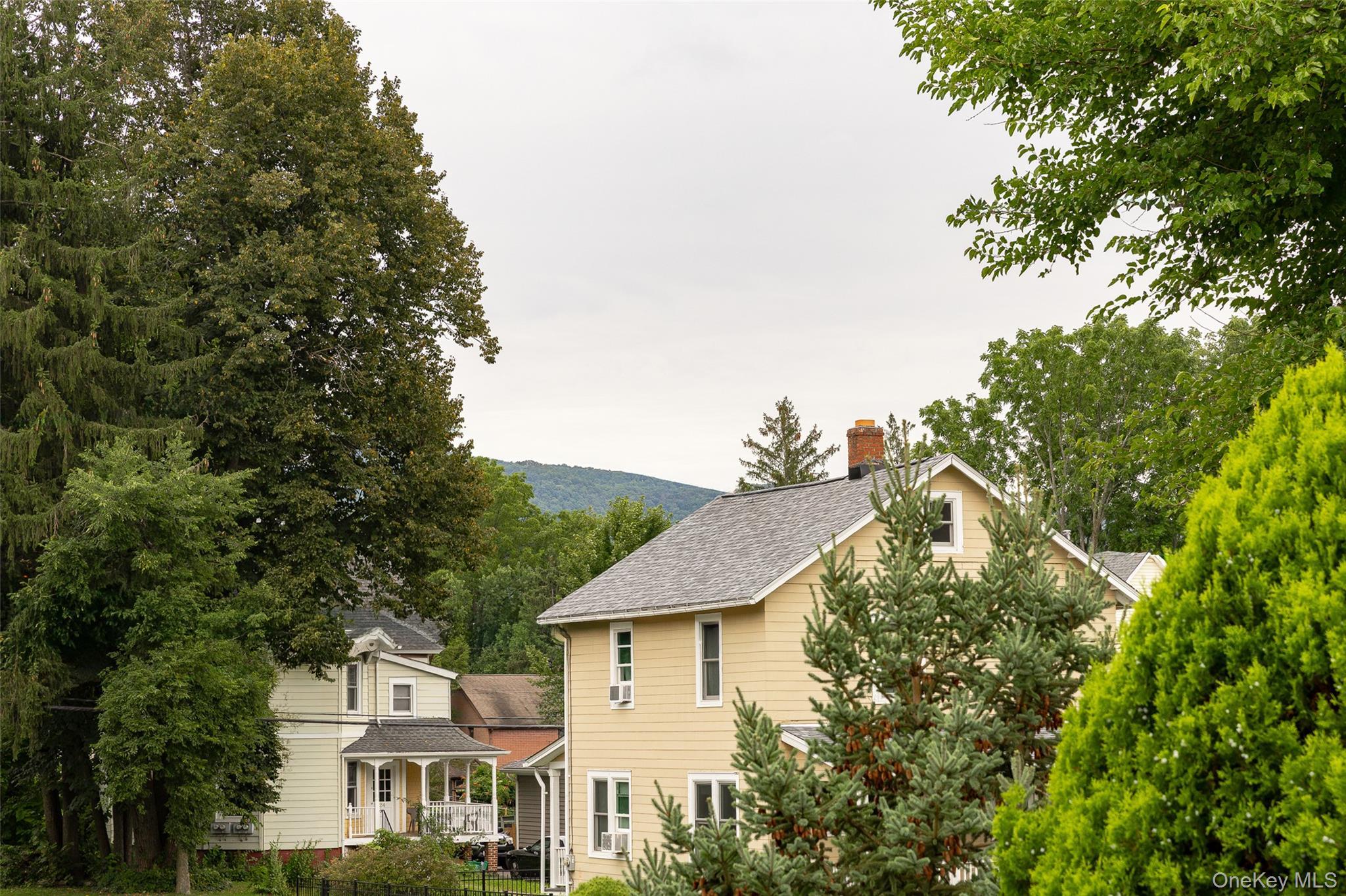Single Family Oak Street Dutchess County, NY 12508, MLS-1041236-5