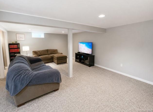 Single Family Robinson Avenue Suffolk County, NY 11763, MLS-1041239-9