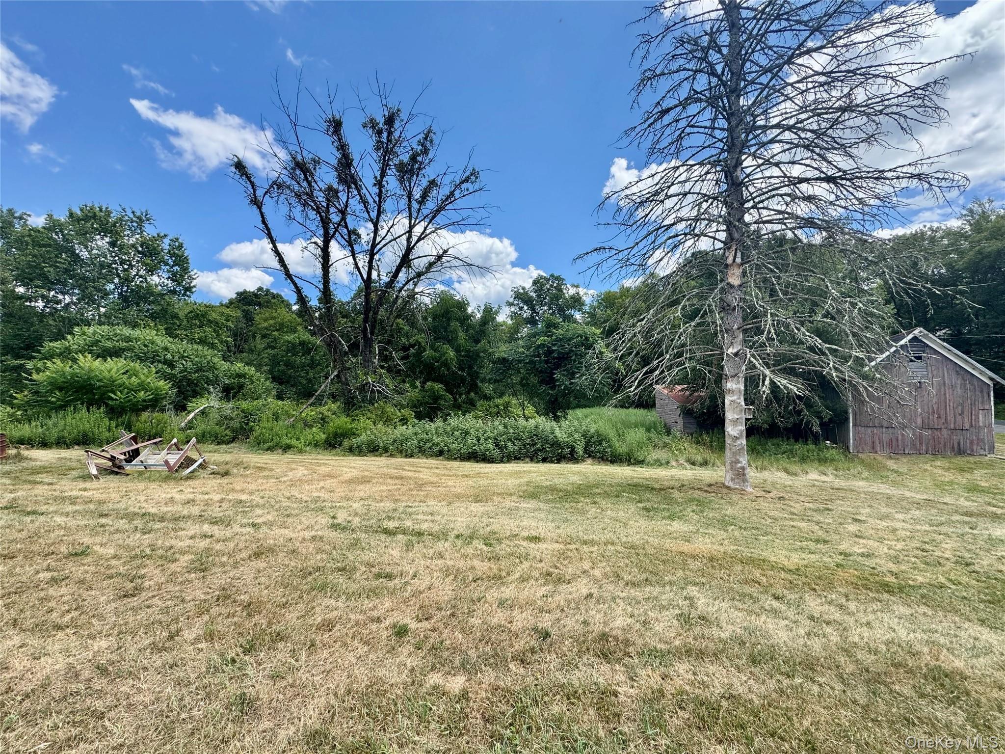 Single Family Homestead Lane Orange County, NY 10963, MLS-1041310-15