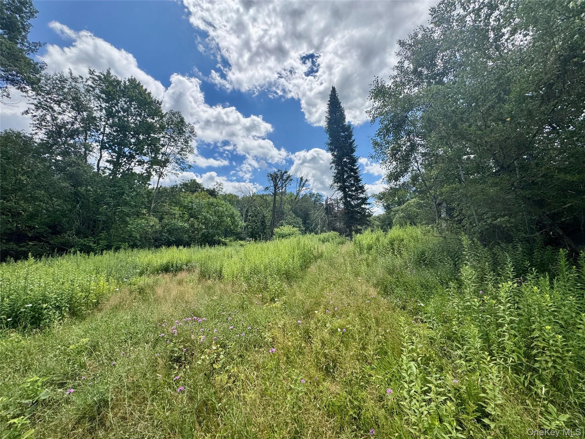 Single Family Homestead Lane Orange County, NY 10963, MLS-1041310-17