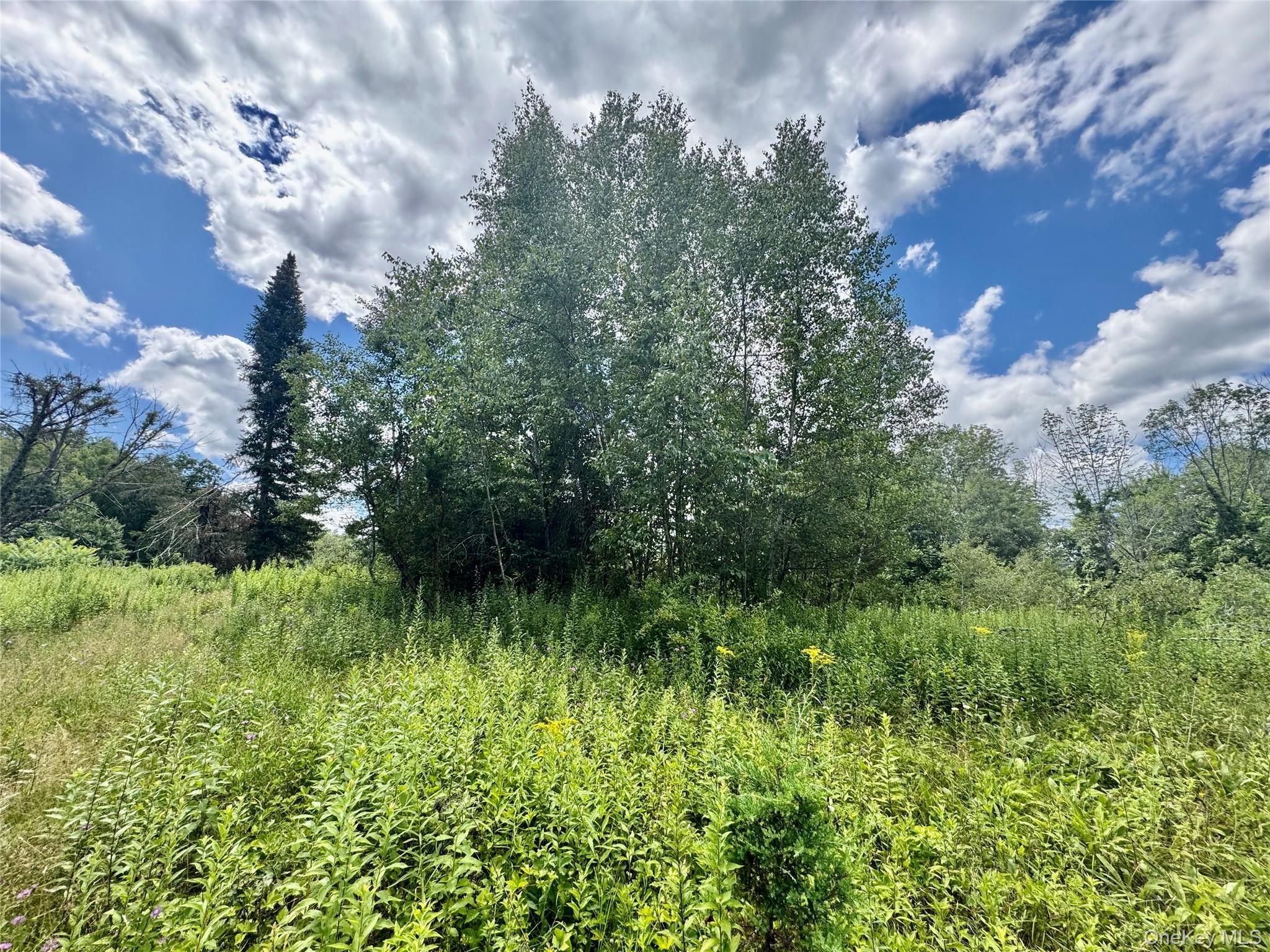 Single Family Homestead Lane Orange County, NY 10963, MLS-1041310-18