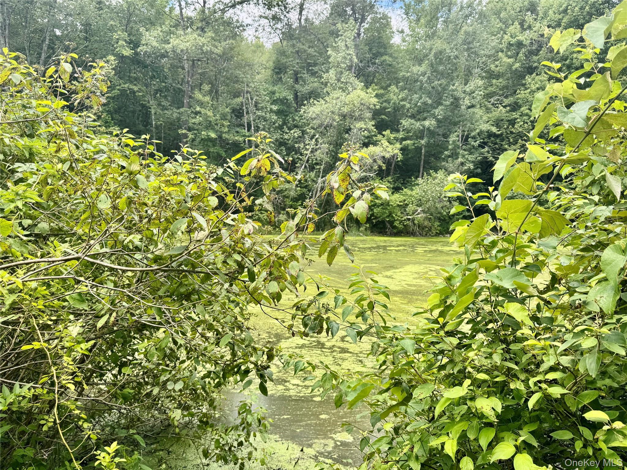 Single Family Homestead Lane Orange County, NY 10963, MLS-1041310-19