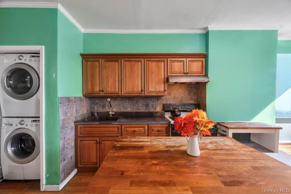 Single Family Eliot Avenue  Queens, NY 11379, MLS-1041311-5