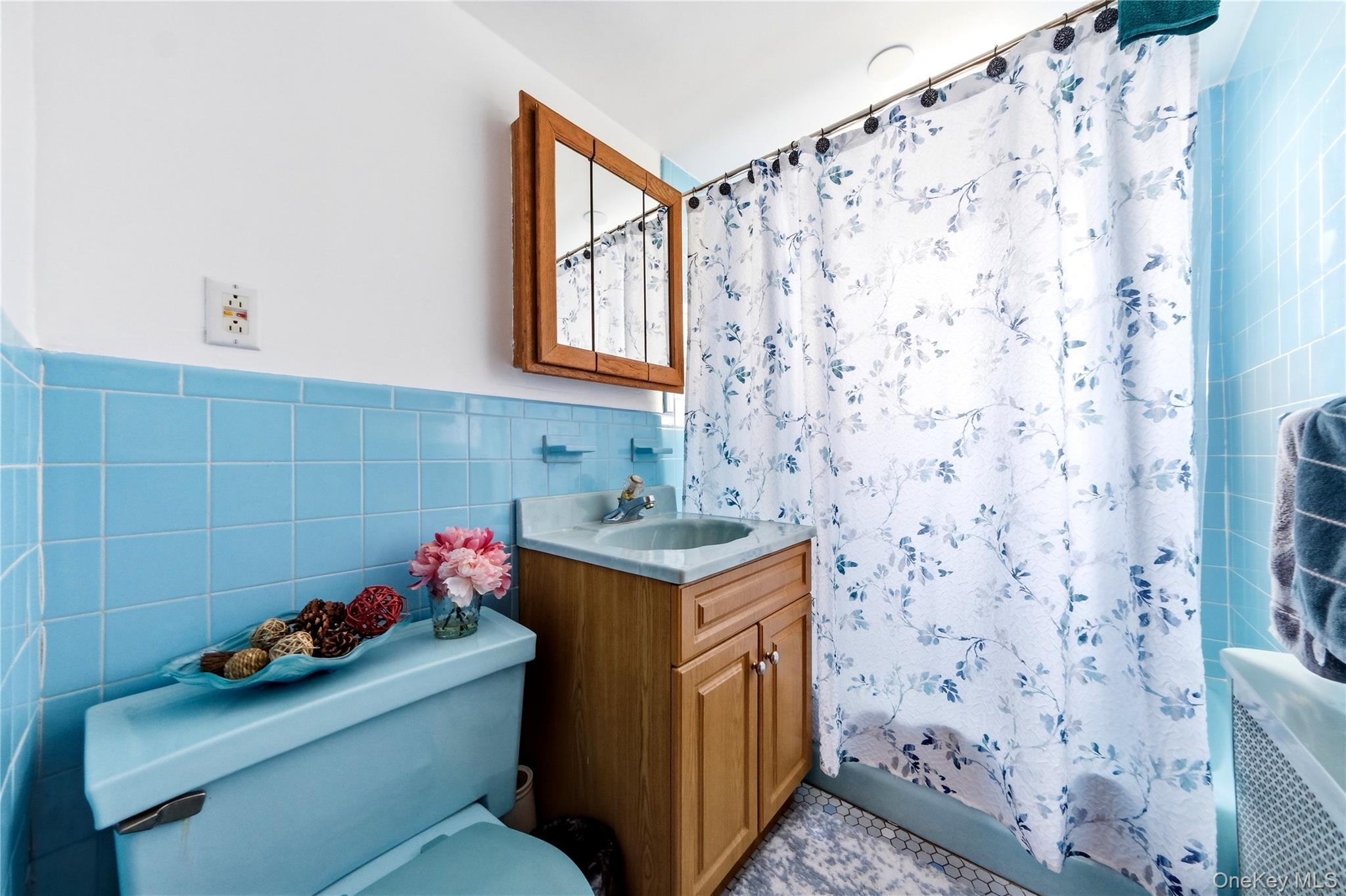 Single Family Stuart Road Nassau County, NY 11581, MLS-1041342-23