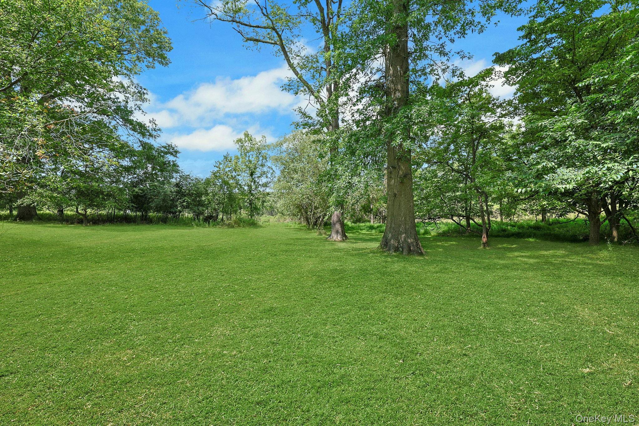Single Family Apple Lane Drive Orange County, NY 10940, MLS-1041345-28