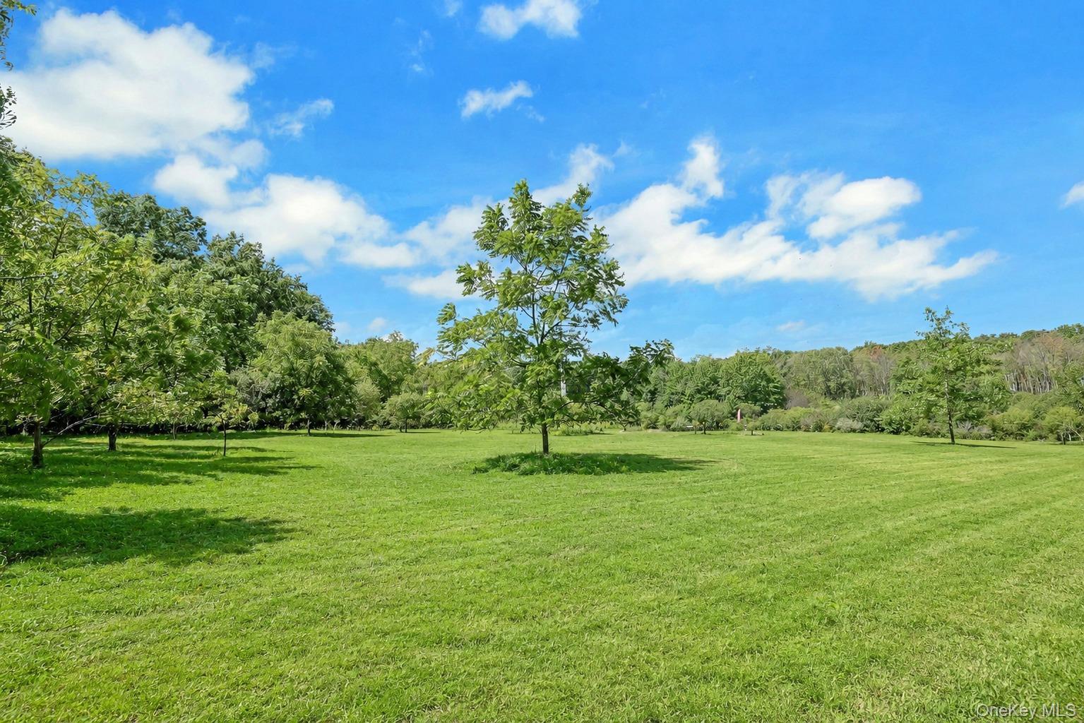 Single Family Apple Lane Drive Orange County, NY 10940, MLS-1041345-29