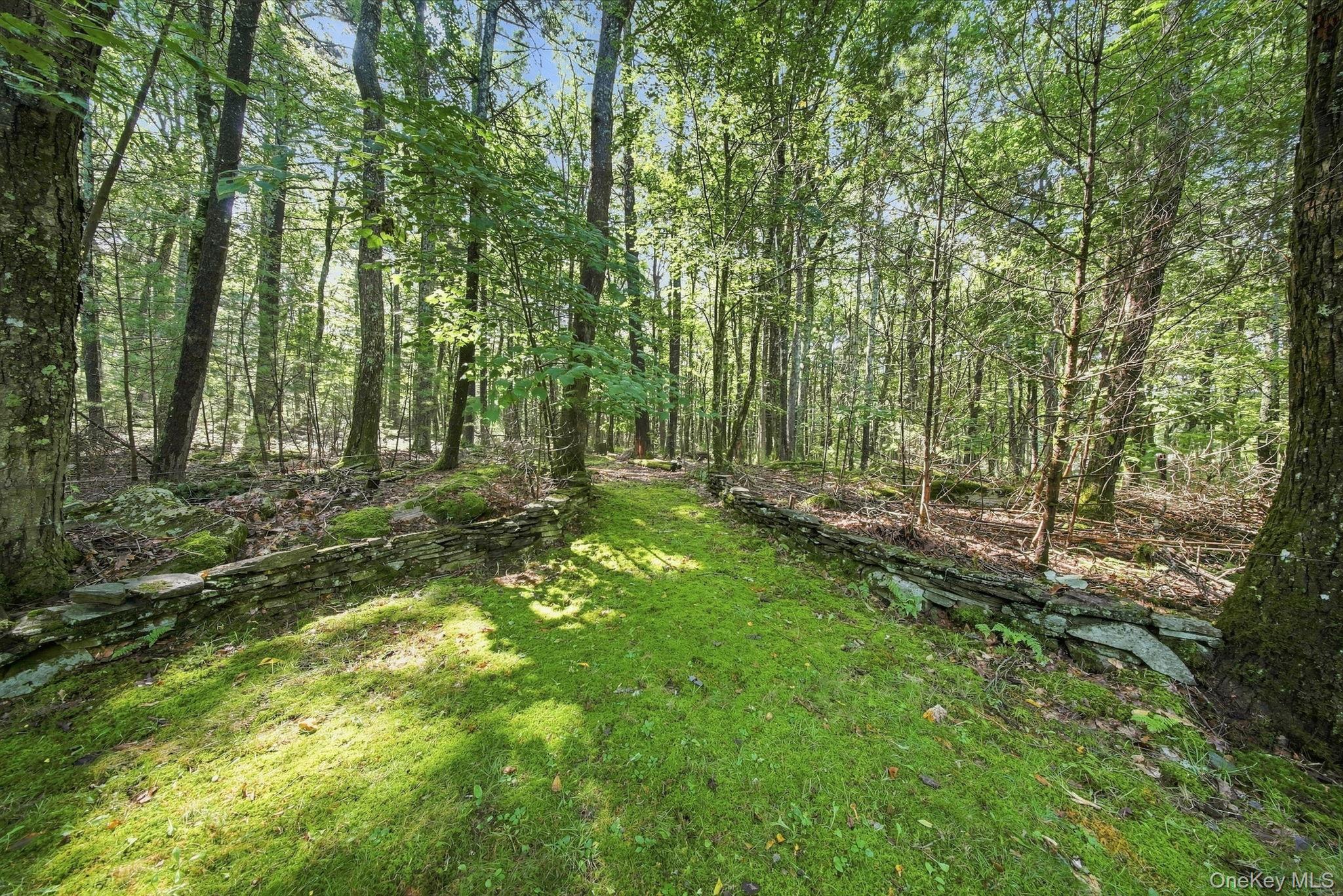 Single Family Leers Road Sullivan County, NY 12737, MLS-1041370-15
