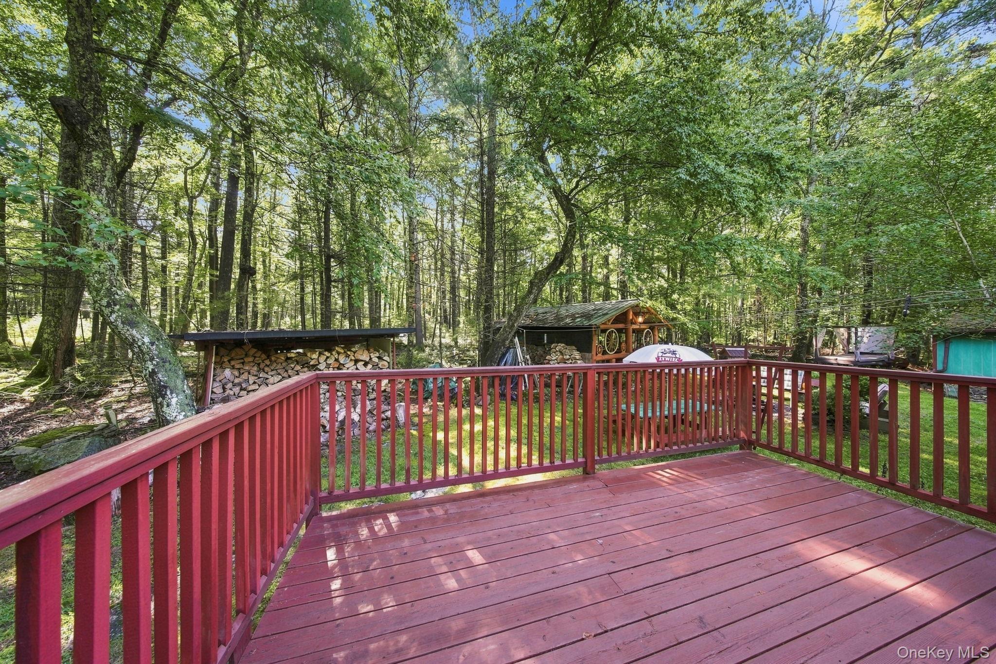 Single Family Leers Road Sullivan County, NY 12737, MLS-1041370-27