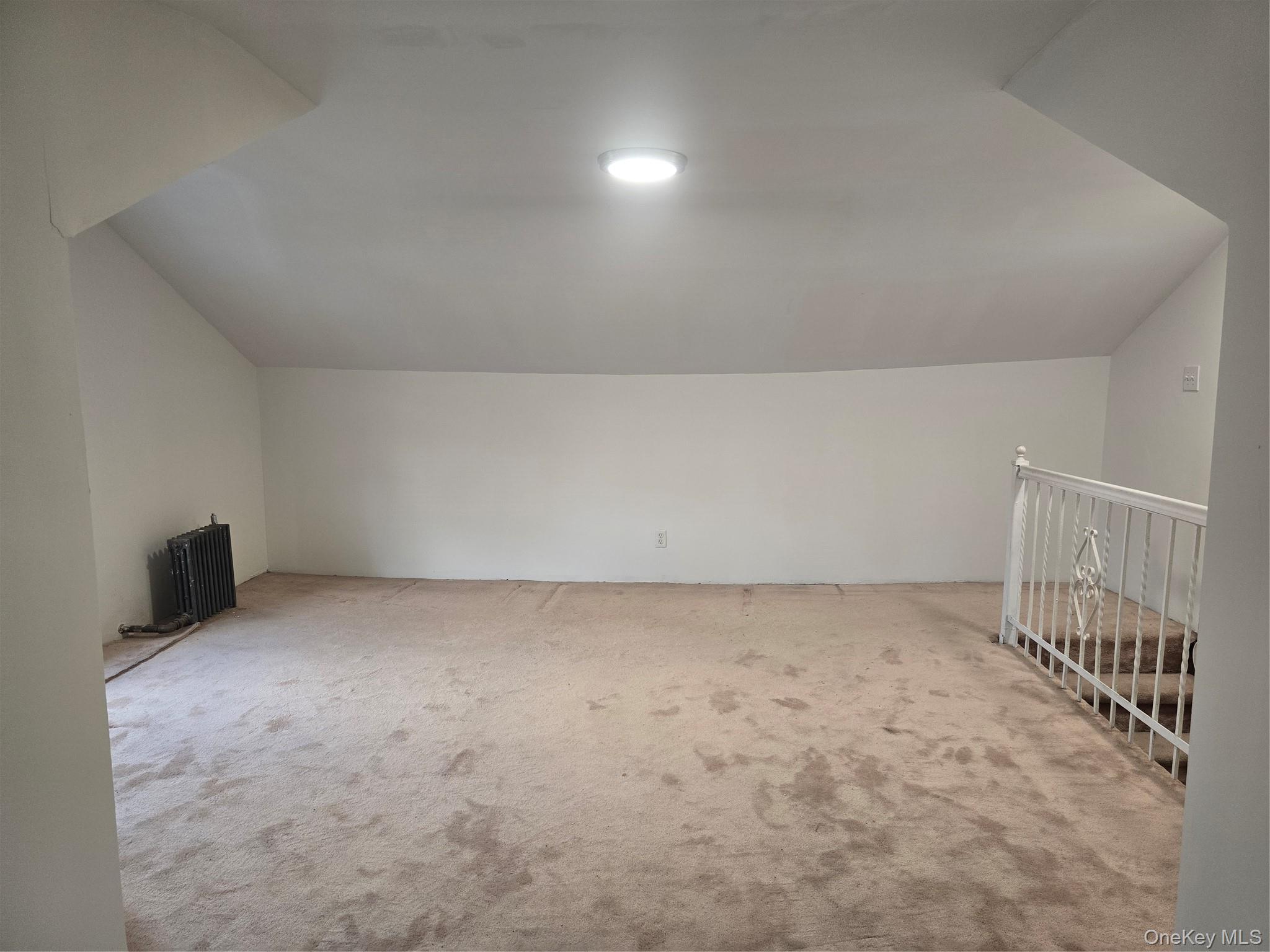 Single Family 175th Street Queens, NY 11434, MLS-1041375-22