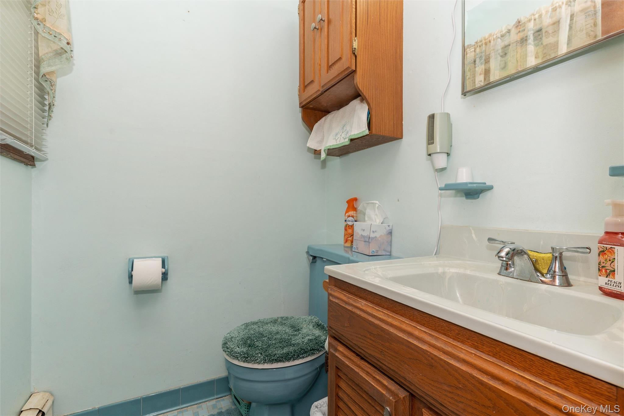 Single Family Cedar Branch Street  Suffolk County, NY 11953, MLS-1041400-12