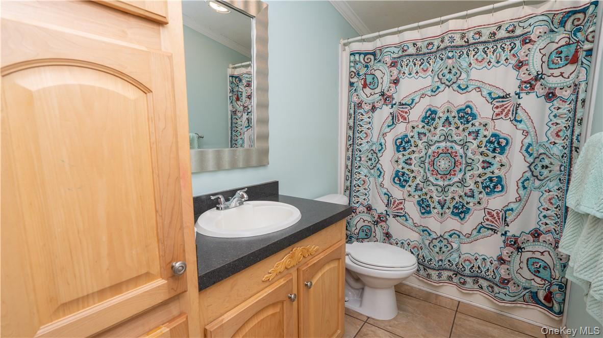Single Family Wildwood Lane Ulster County, NY 12589, MLS-1041407-12