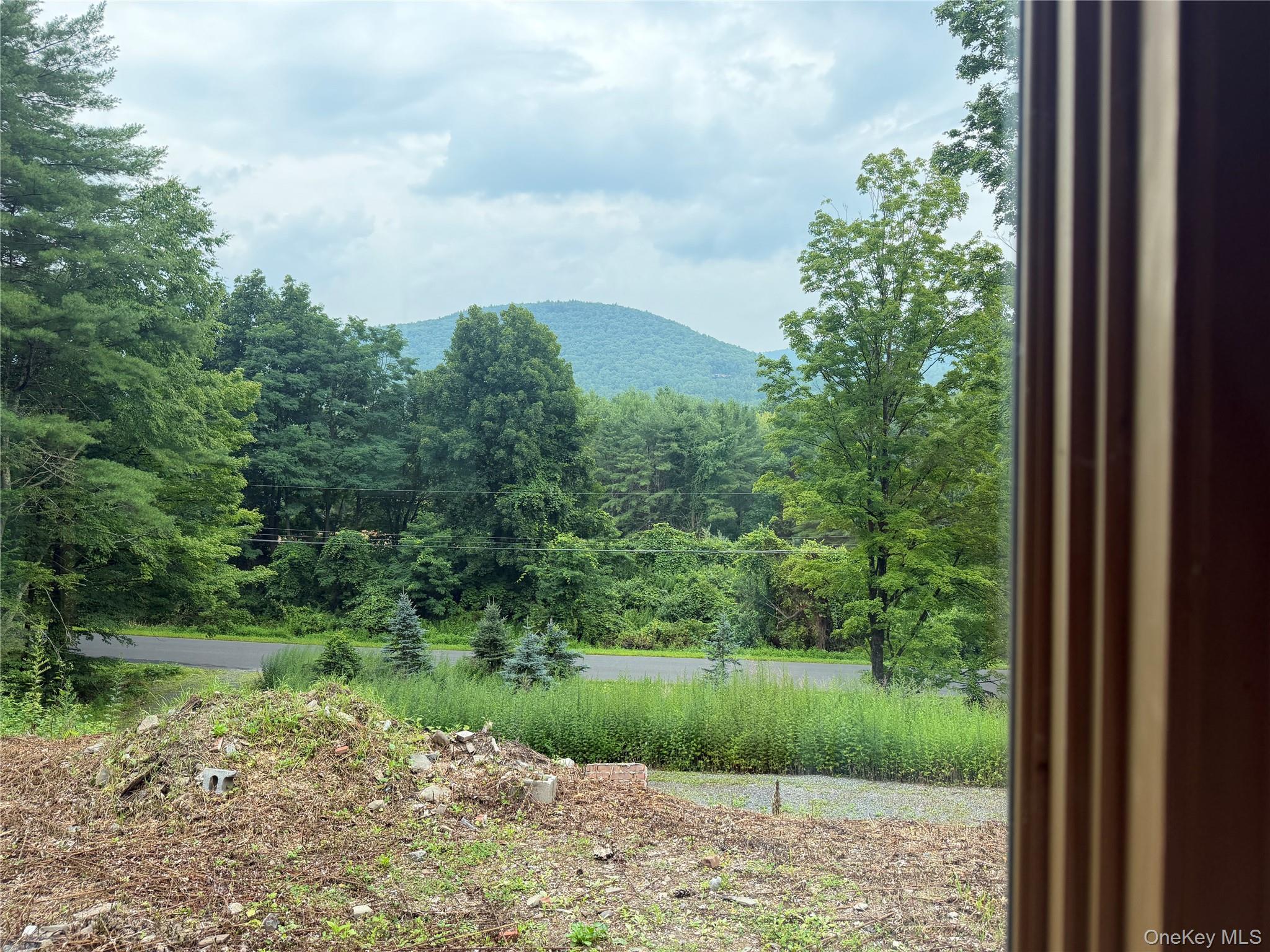 Single Family Cold Brook Road  Ulster County, NY 12409, MLS-1041431-23