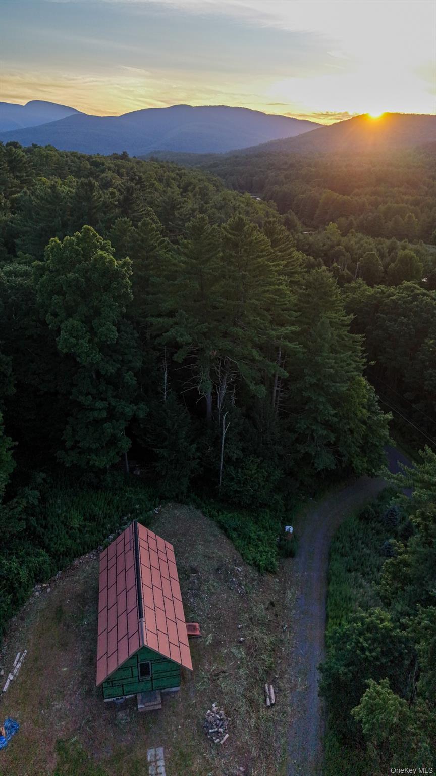 Single Family Cold Brook Road  Ulster County, NY 12409, MLS-1041431-25