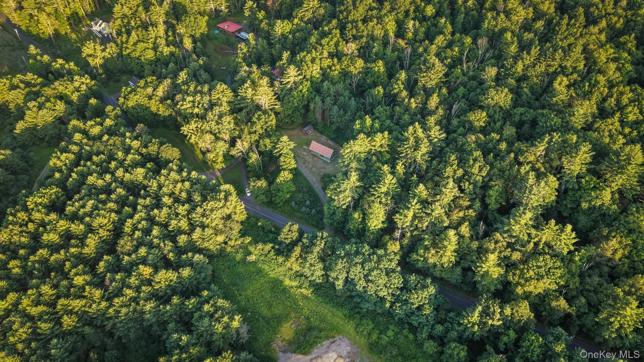 Single Family Cold Brook Road  Ulster County, NY 12409, MLS-1041431-4