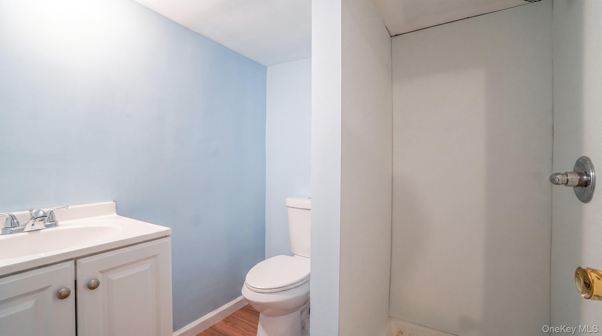 Single Family Winchester Boulevard Queens, NY 11428, MLS-1041458-14