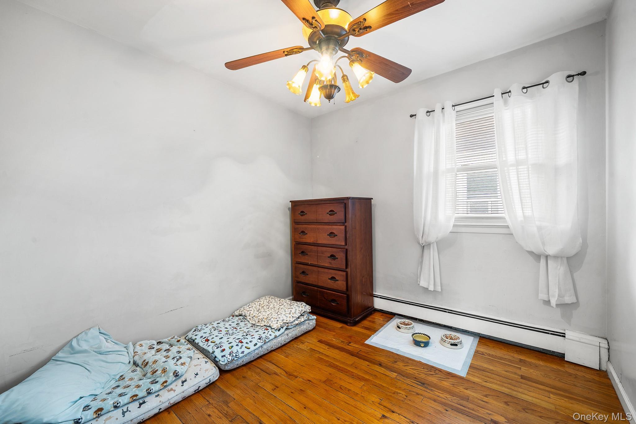 Single Family Belmont Boulevard Nassau County, NY 11003, MLS-1041460-11