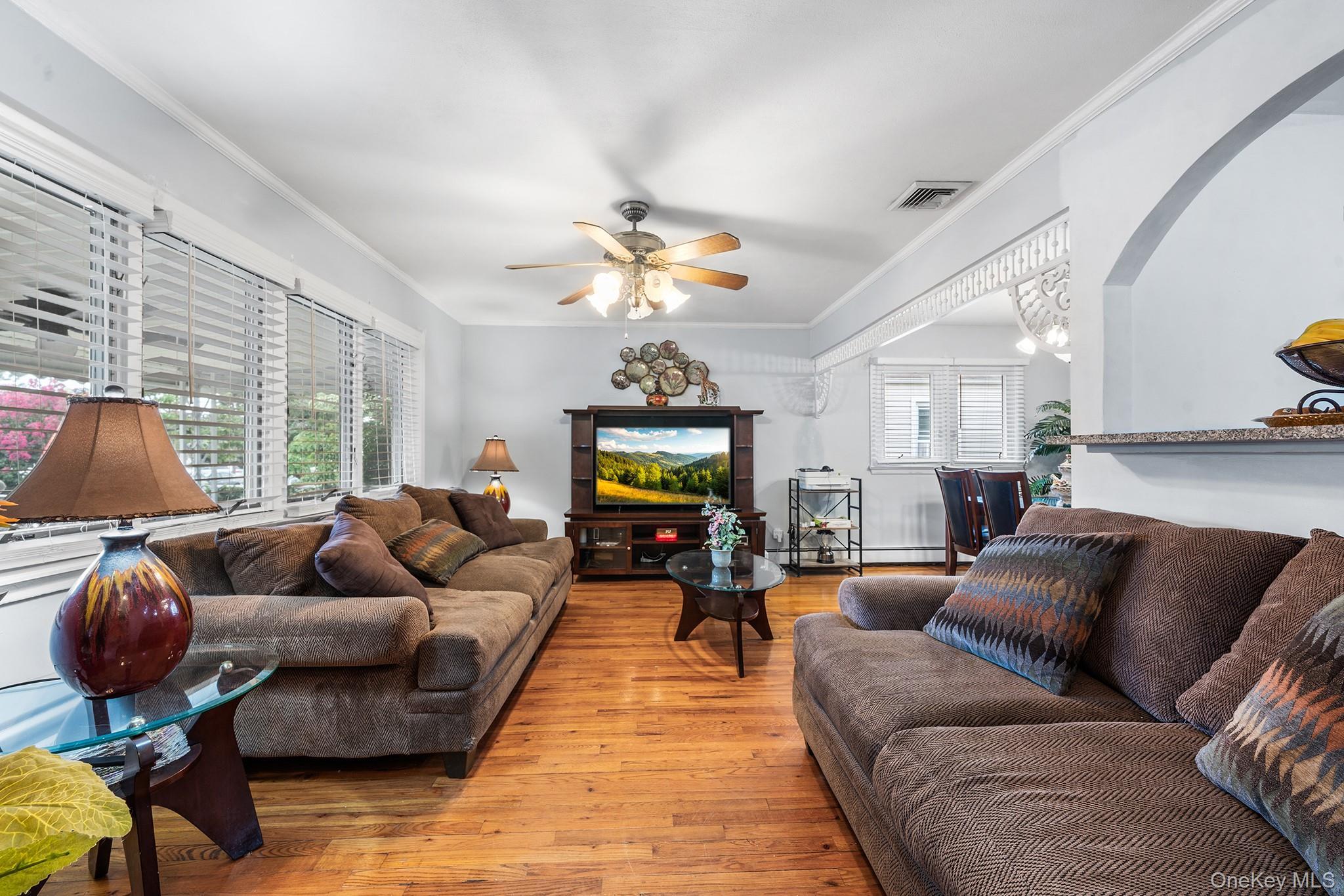 Single Family Belmont Boulevard Nassau County, NY 11003, MLS-1041460-5