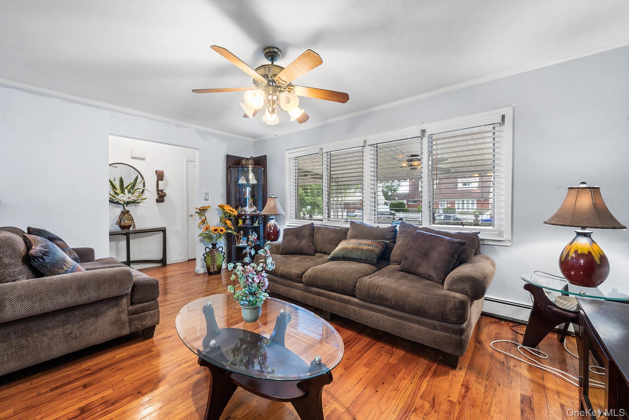 Single Family Belmont Boulevard Nassau County, NY 11003, MLS-1041460-6