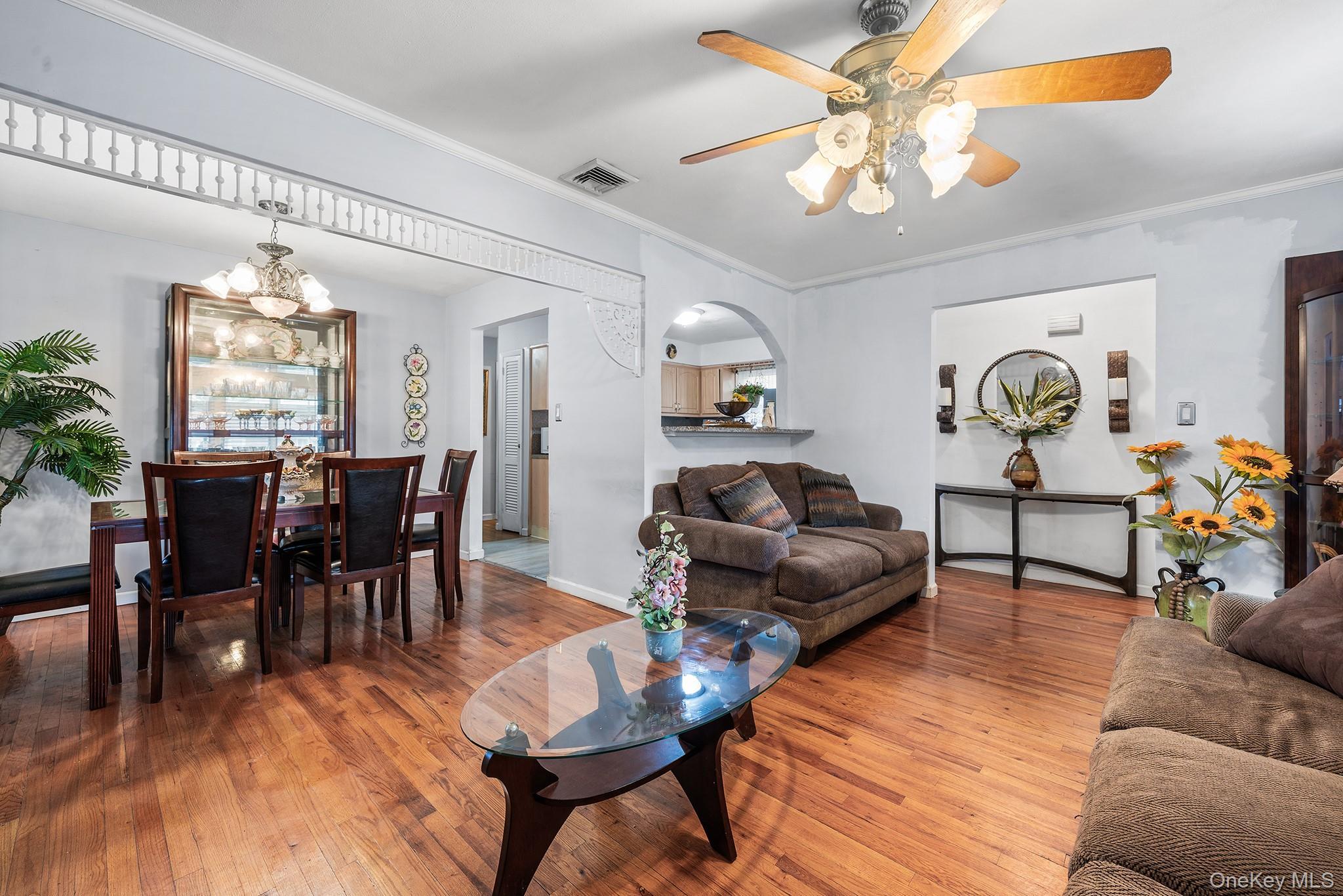 Single Family Belmont Boulevard Nassau County, NY 11003, MLS-1041460-7