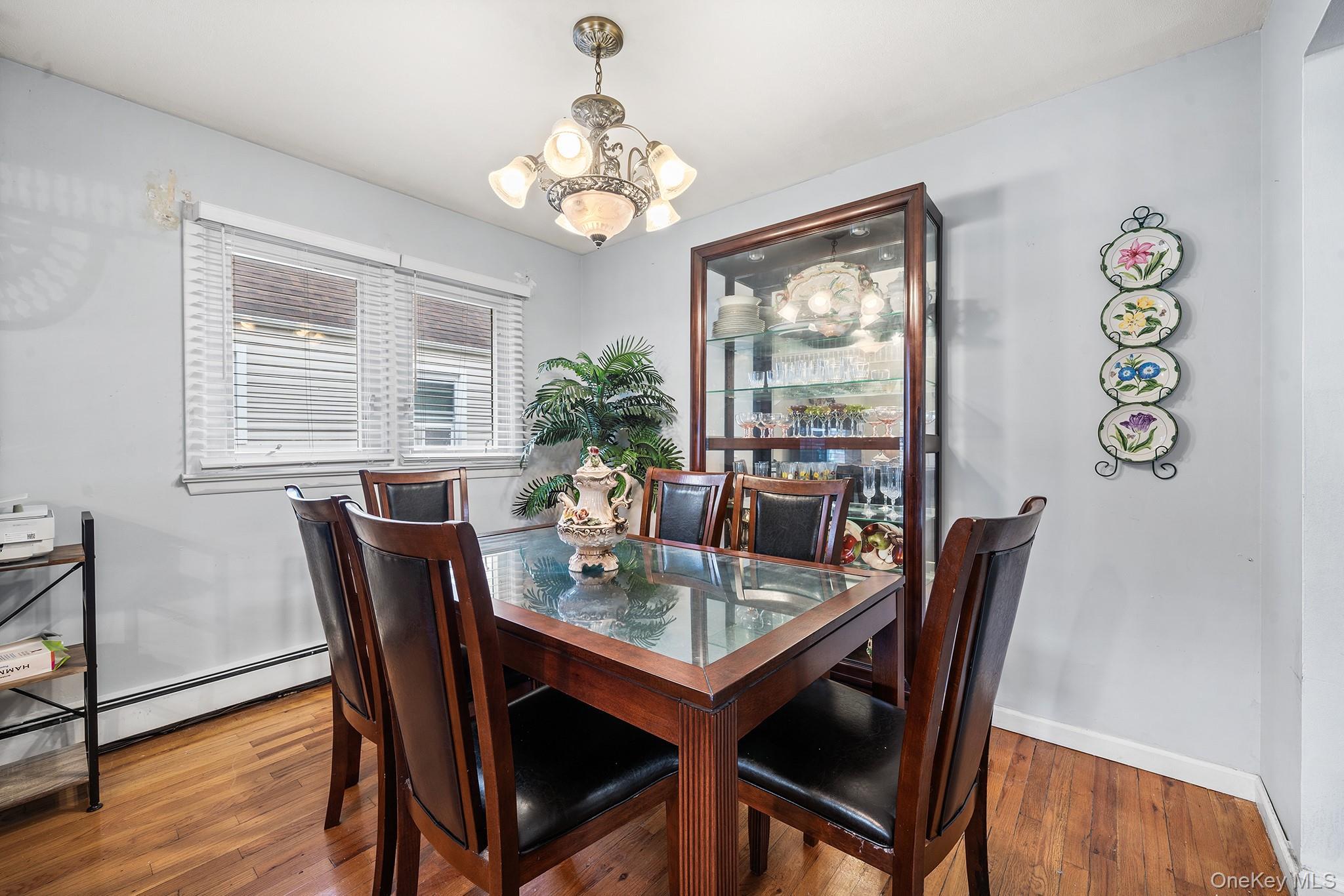 Single Family Belmont Boulevard Nassau County, NY 11003, MLS-1041460-8
