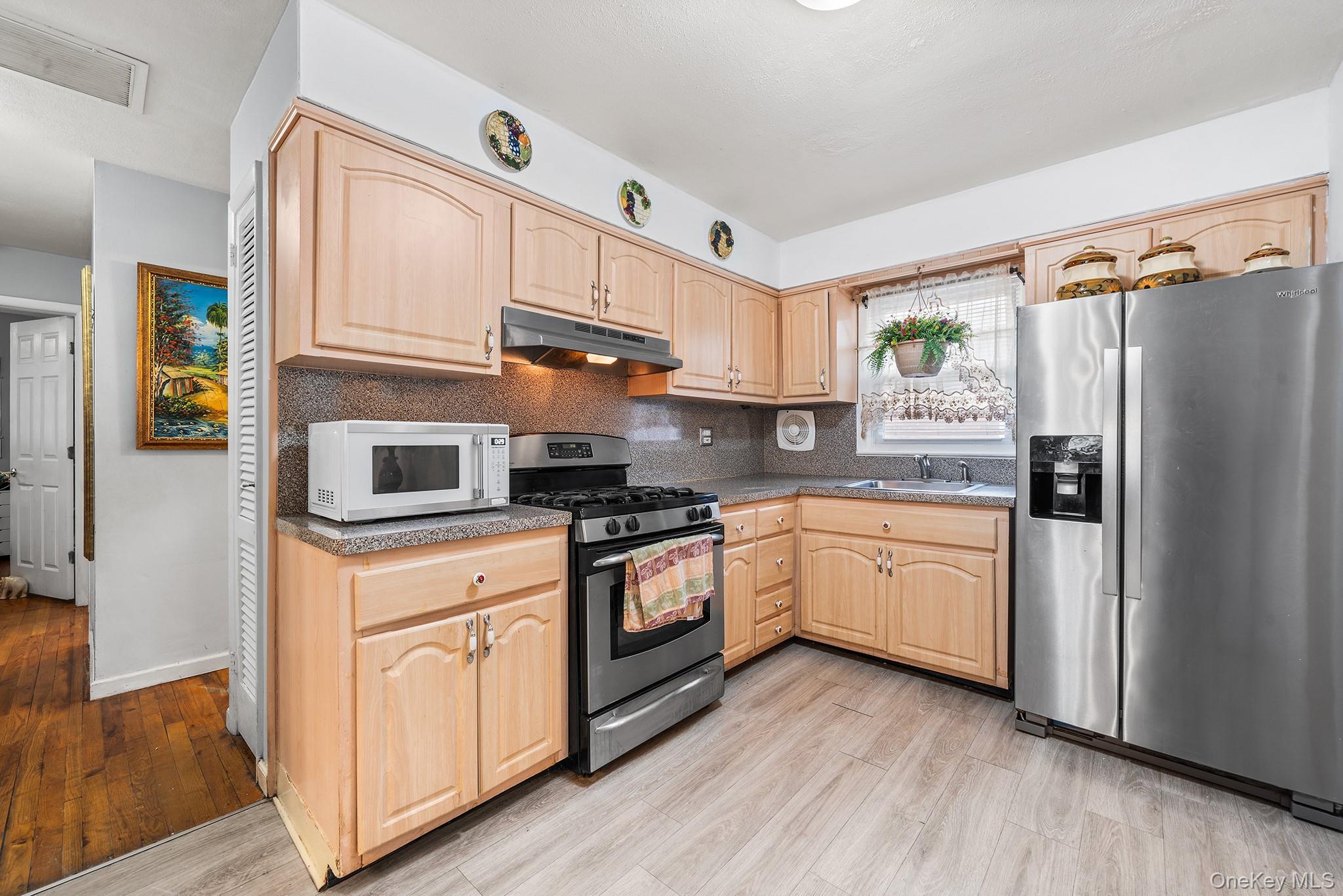Single Family Belmont Boulevard Nassau County, NY 11003, MLS-1041460-9