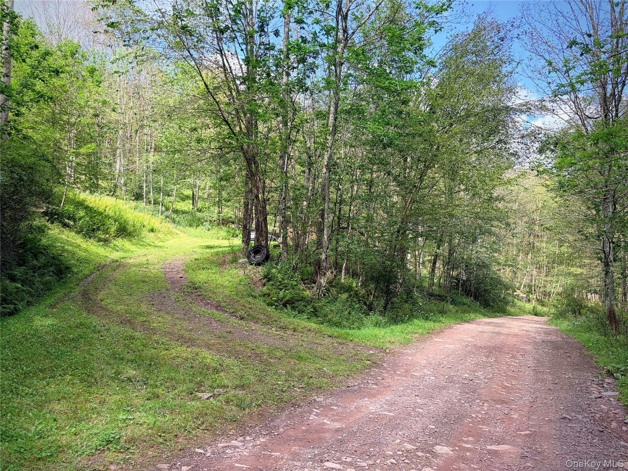 Single Family Doyle Road Delaware County, NY 12776, MLS-1041556-15