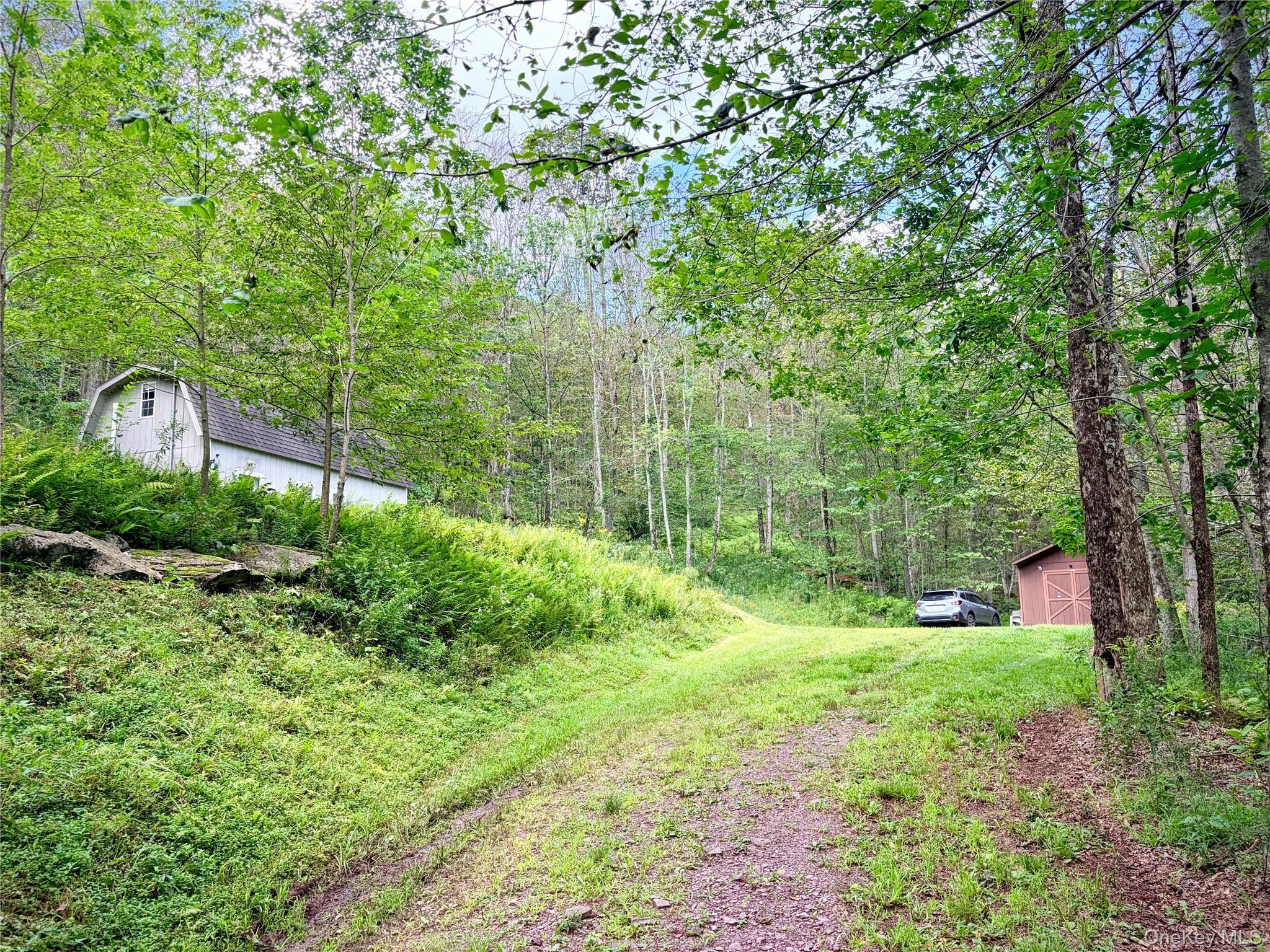 Single Family Doyle Road Delaware County, NY 12776, MLS-1041556-16