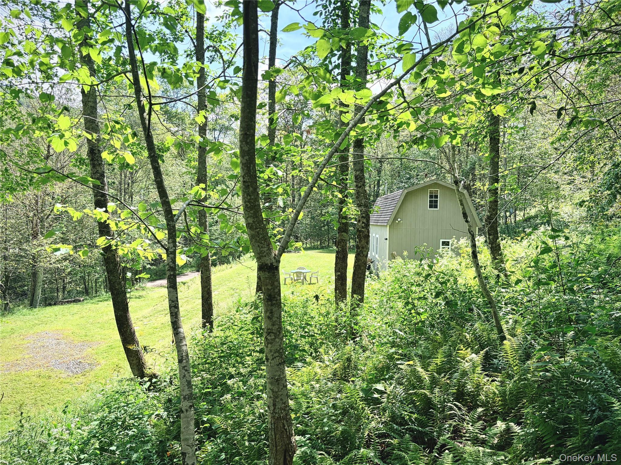 Single Family Doyle Road Delaware County, NY 12776, MLS-1041556-24