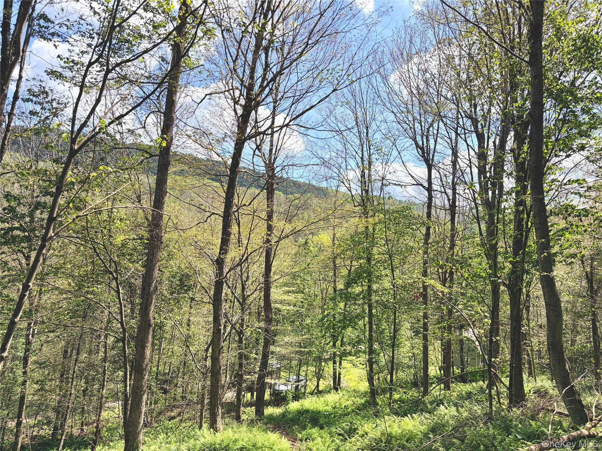Single Family Doyle Road Delaware County, NY 12776, MLS-1041556-25