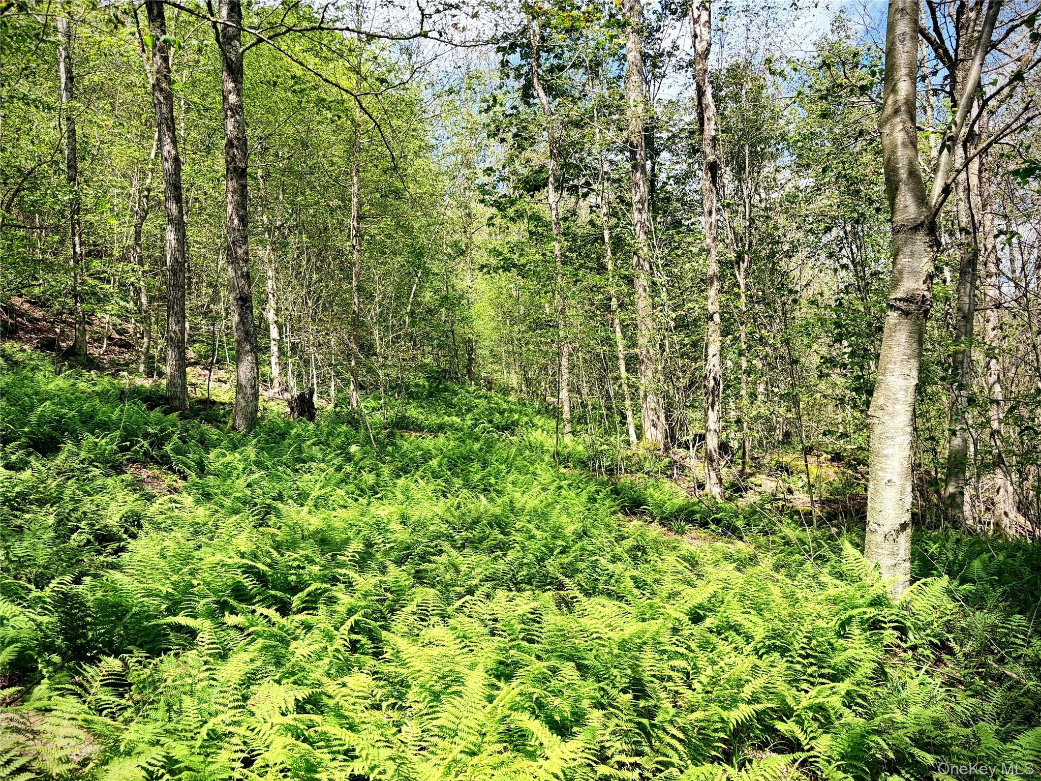 Single Family Doyle Road Delaware County, NY 12776, MLS-1041556-26