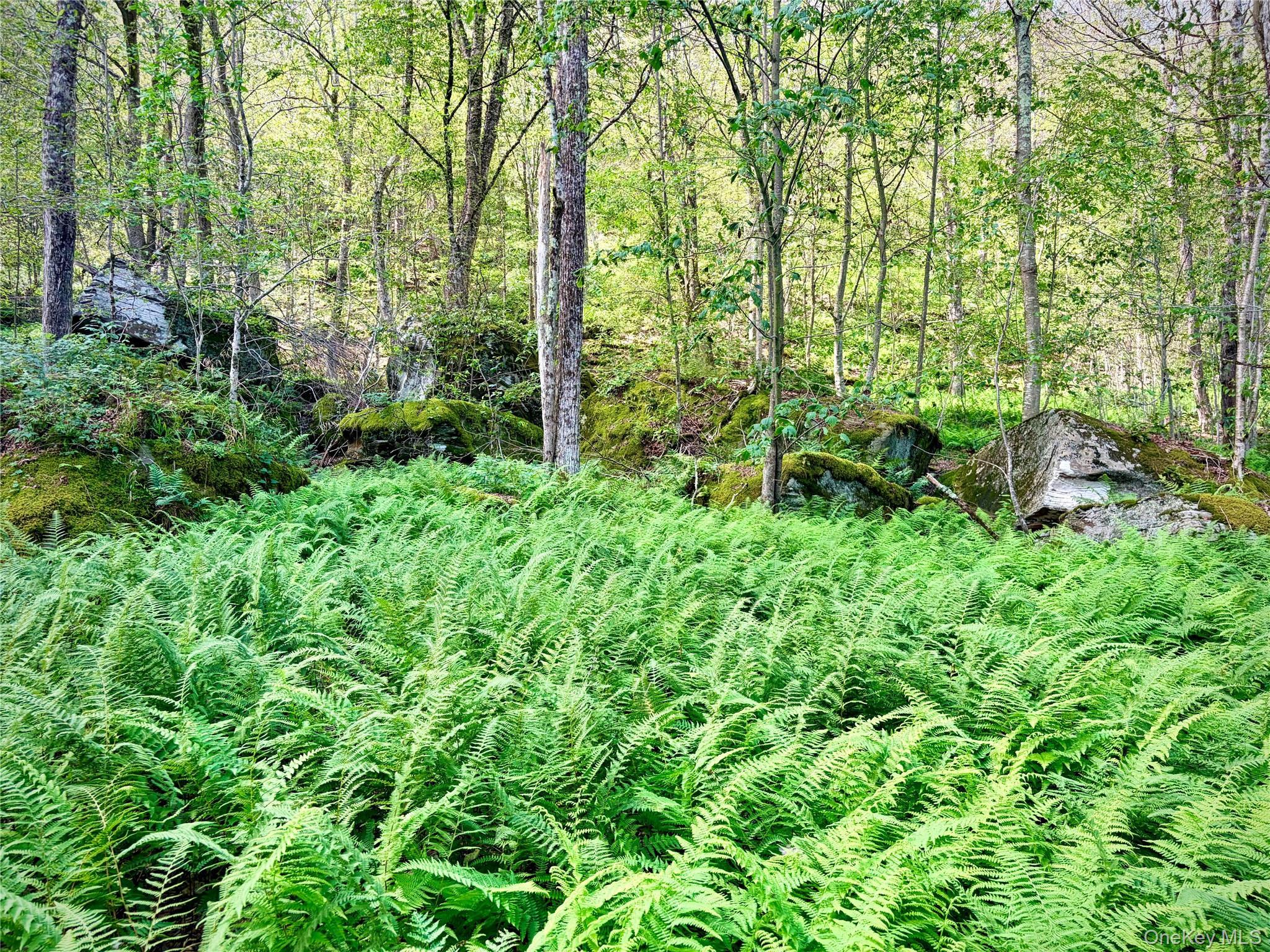 Single Family Doyle Road Delaware County, NY 12776, MLS-1041556-27