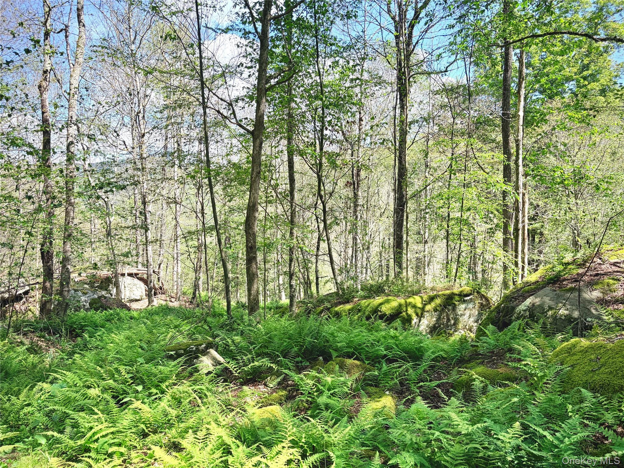 Single Family Doyle Road Delaware County, NY 12776, MLS-1041556-28