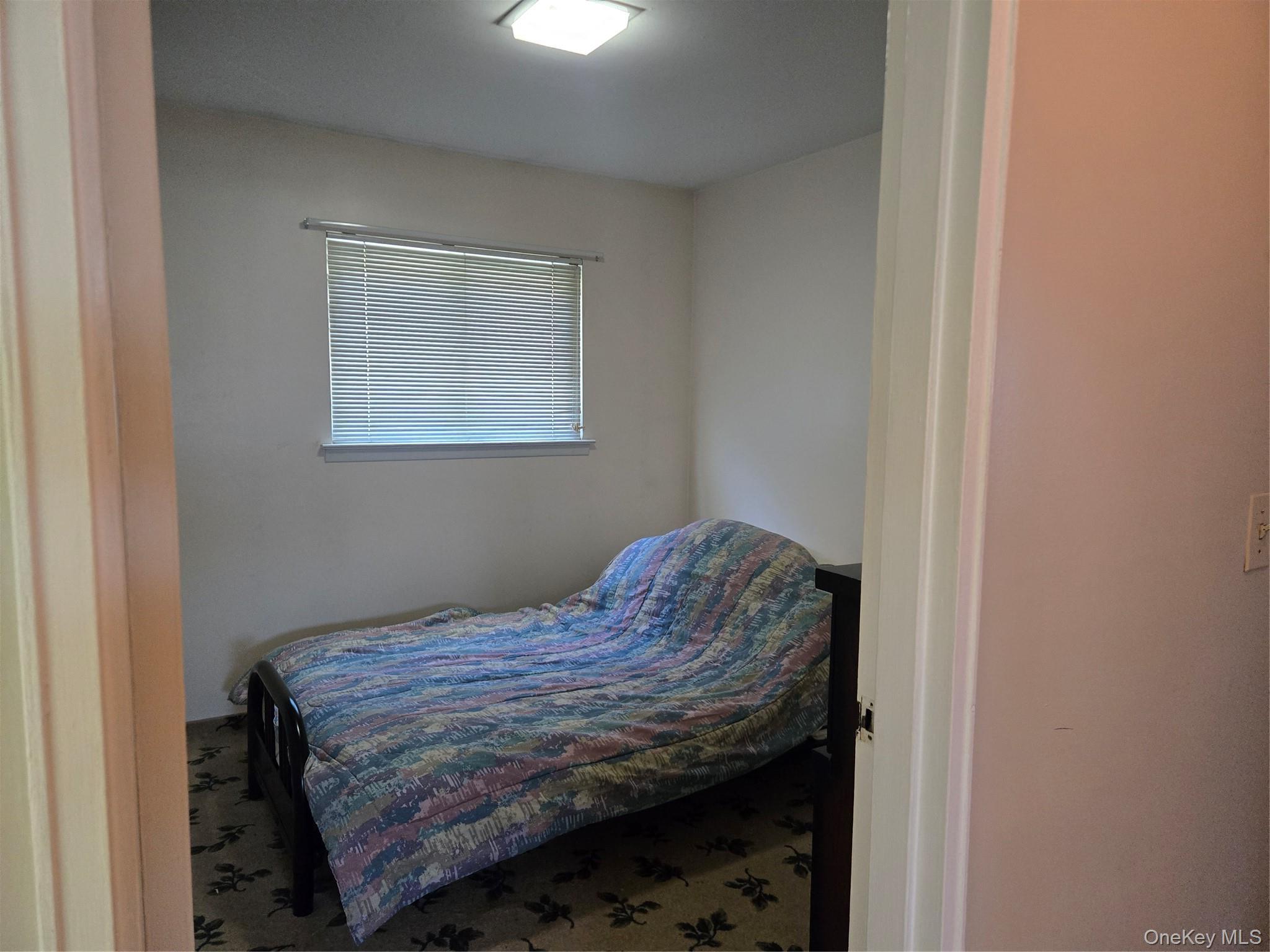 Single Family Iris Place Nassau County, NY 11552, MLS-1041559-7