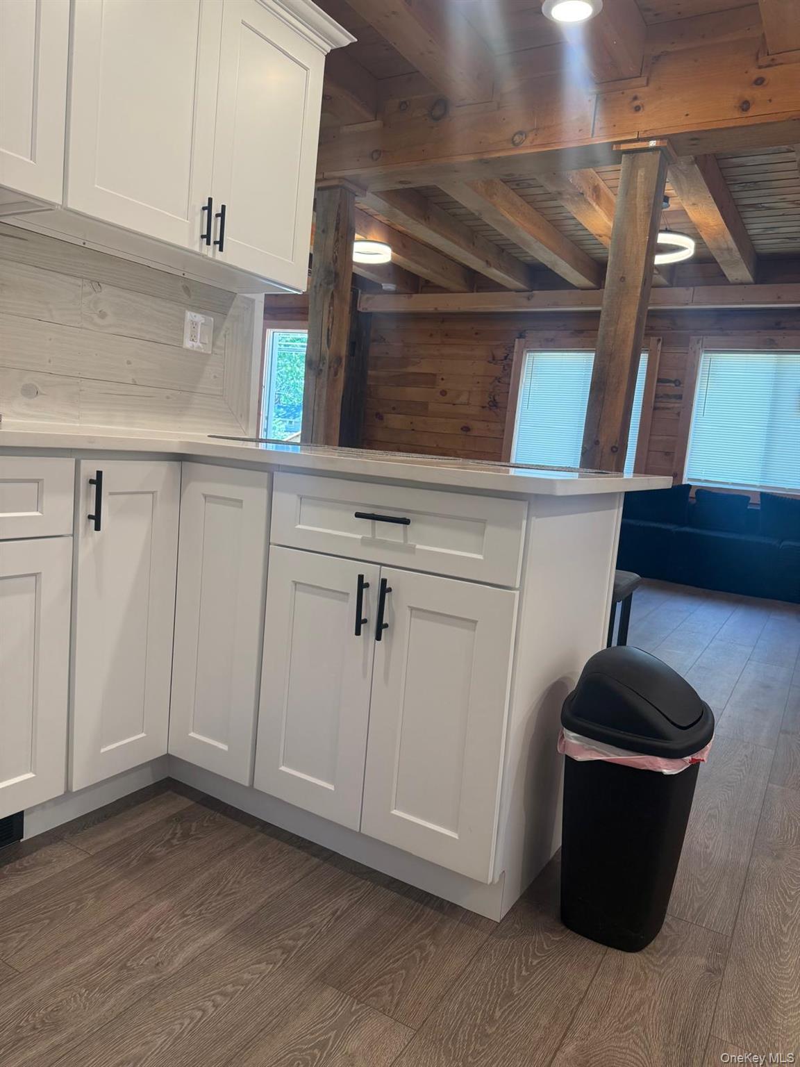 Single Family Lake Avenue Out Of Area, NY 12053, MLS-1041593-15