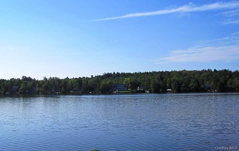 Single Family Lake Avenue Out Of Area, NY 12053, MLS-1041593-2
