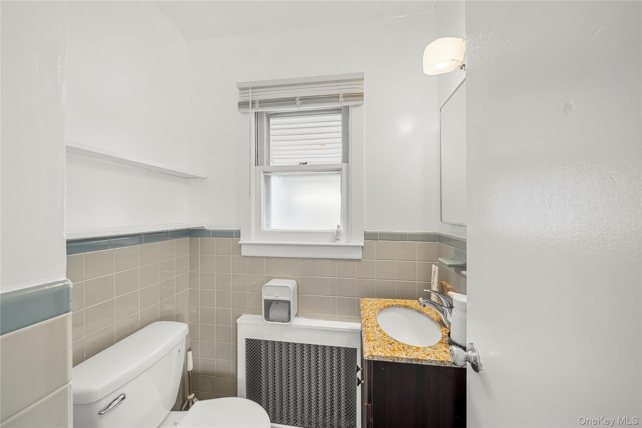 Single Family Littleworth Lane Nassau County, NY 11579, MLS-1041608-8