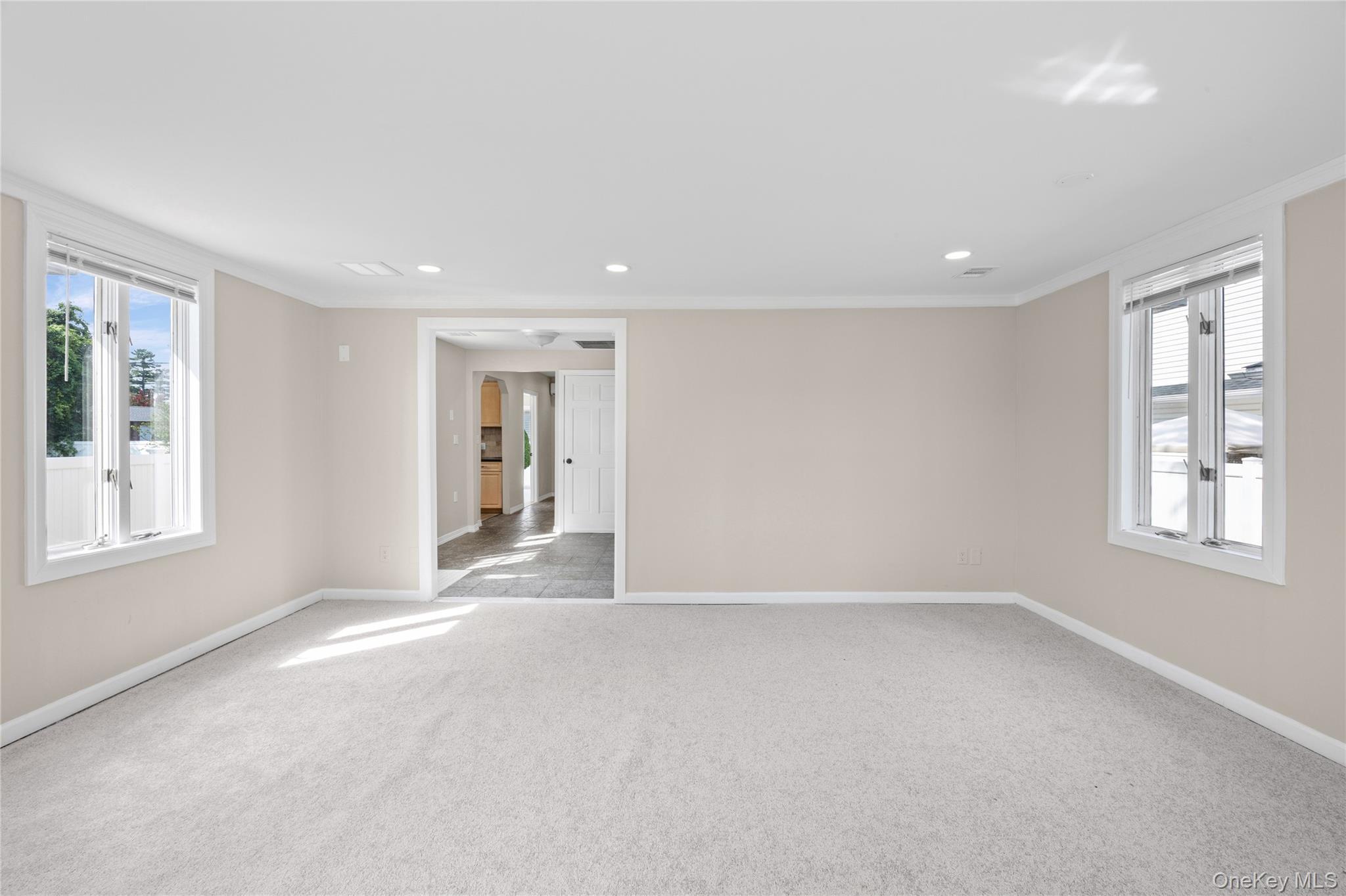 Single Family Cherry Avenue Nassau County, NY 11714, MLS-1041667-11