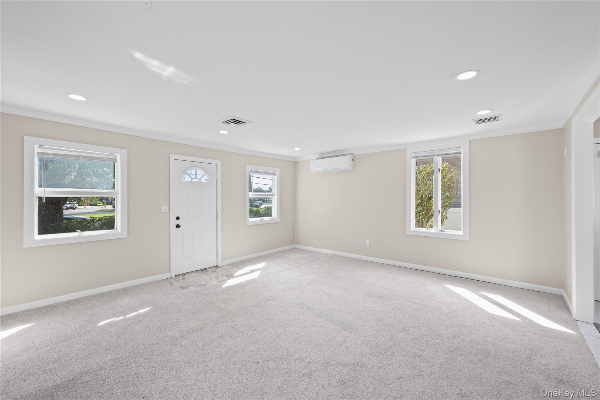 Single Family Cherry Avenue Nassau County, NY 11714, MLS-1041667-12