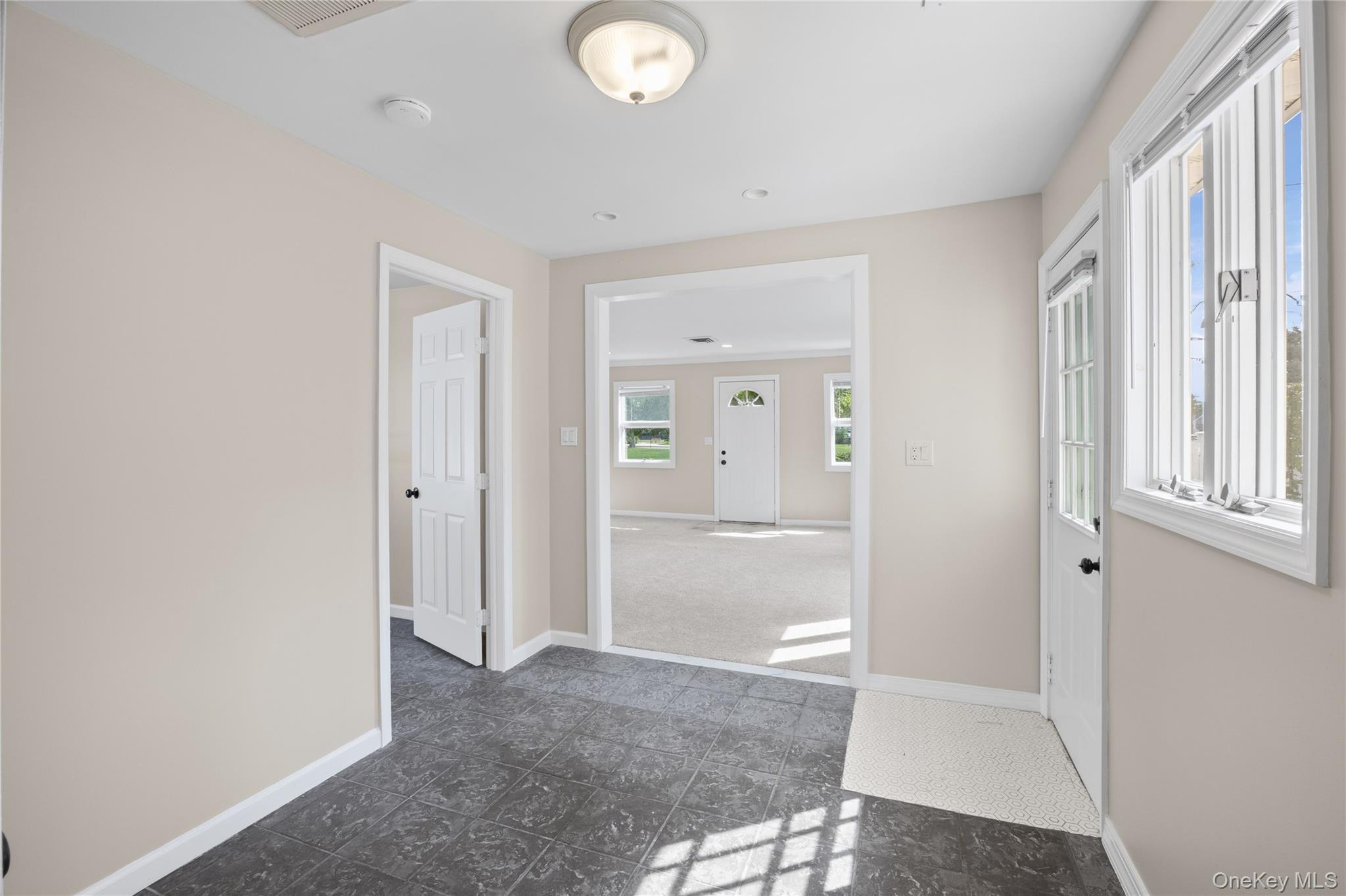 Single Family Cherry Avenue Nassau County, NY 11714, MLS-1041667-17